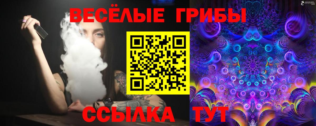 Псилоцибиновые грибы Psilocybine cubensis  даркнет сайт  Малгобек  Вход с VPN 